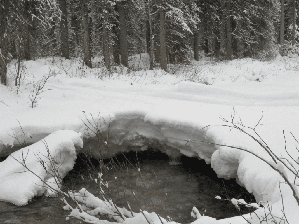 iffy creek crossing in winter
